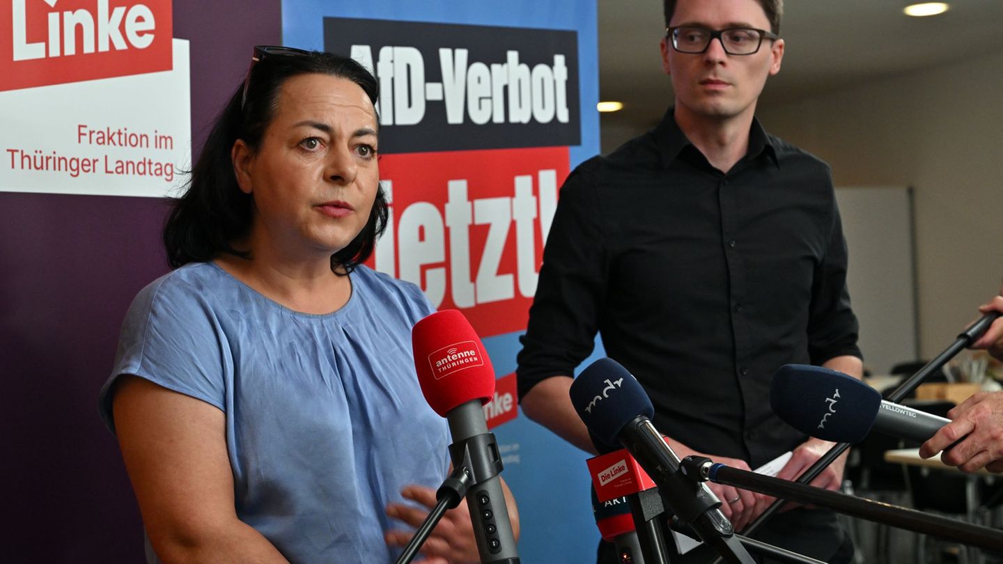 AfD-Bundesparteitag in Erfurt: Linke schickt parlamentarische Beobachter zu AfD-Protesten
