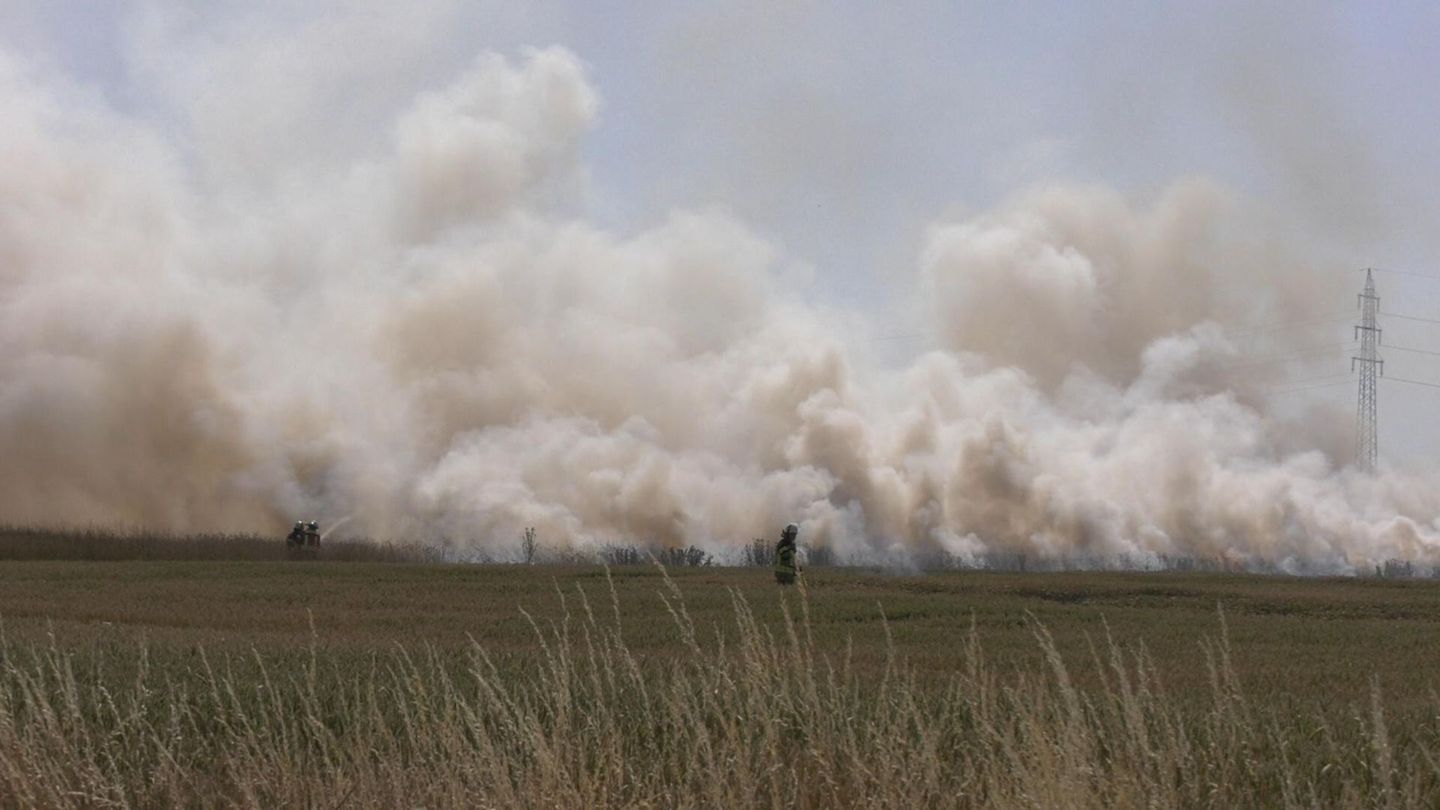 Brände: Feldbrand in Euskirchen - 10.000 Quadratmeter in Flammen