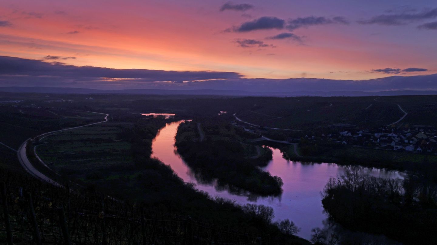 Alarmplan Fluss: Darum ist die Hitze für Main und Donau kritisch