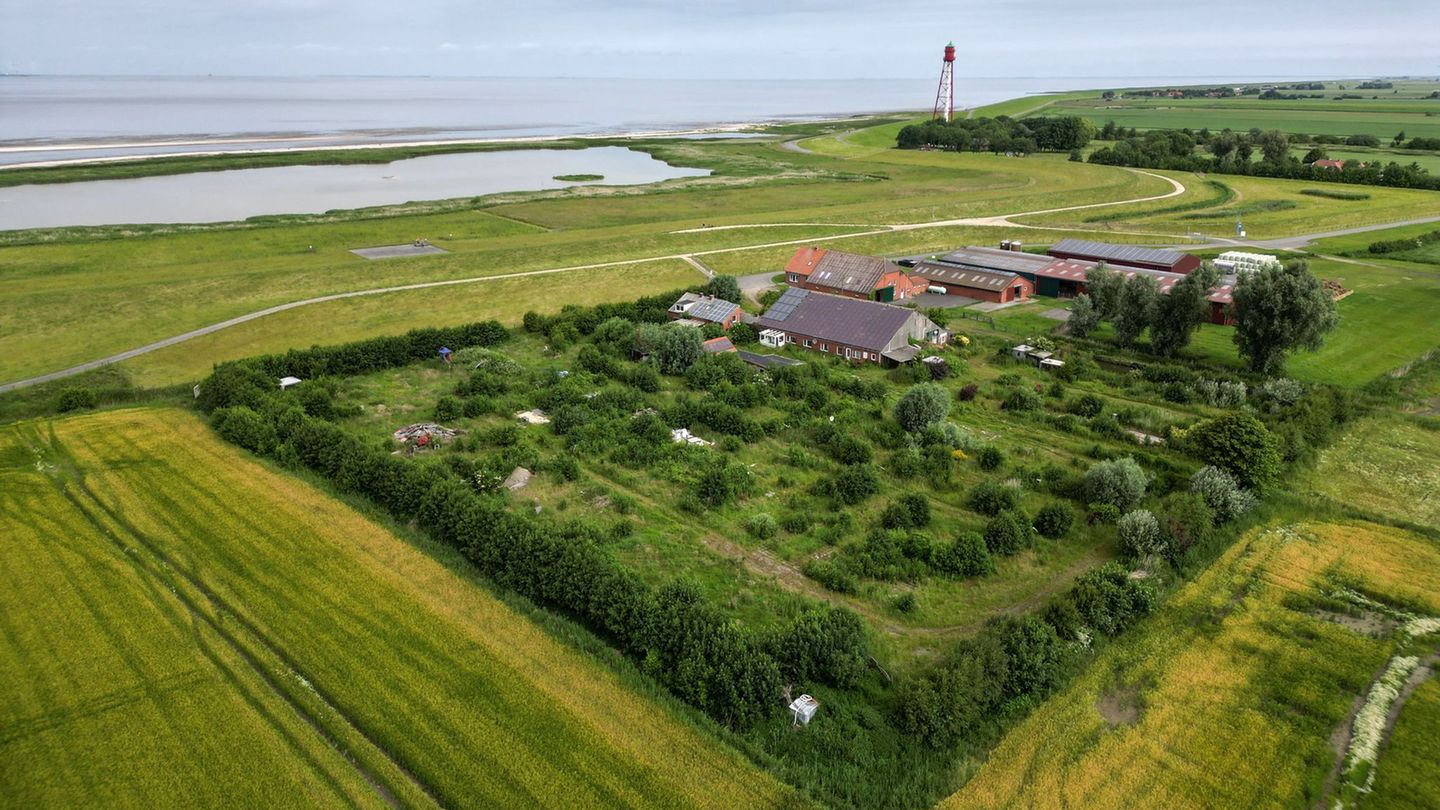 Direkt am Meer: Verlassener Campingplatz an der Nordsee wird versteigert