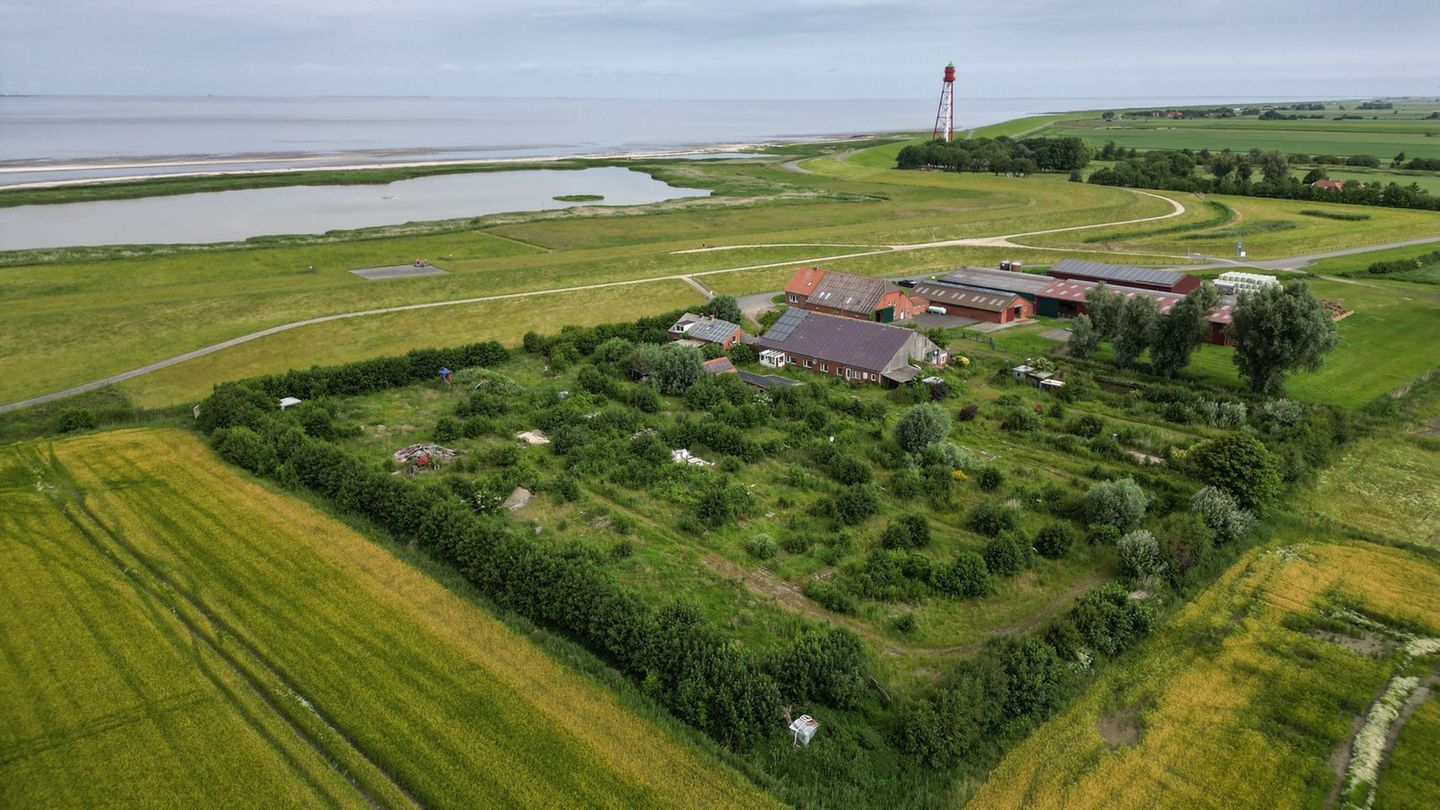 Direkt am Meer: Verlassener Campingplatz an der Nordsee wird versteigert