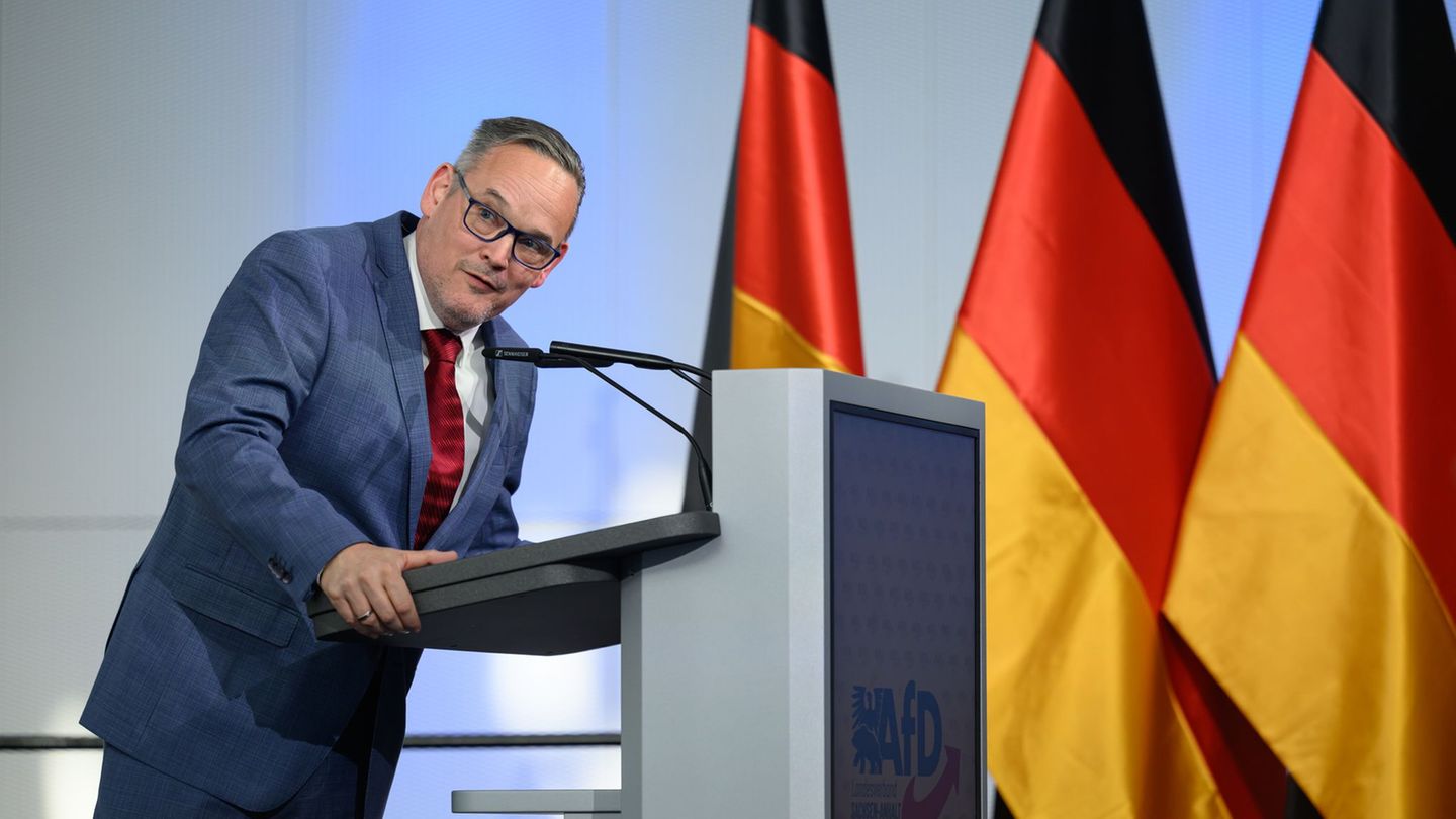 Foto mit fraglicher Geste: Brandner: Kein Platz für Hitlergruß in AfD-Fraktion