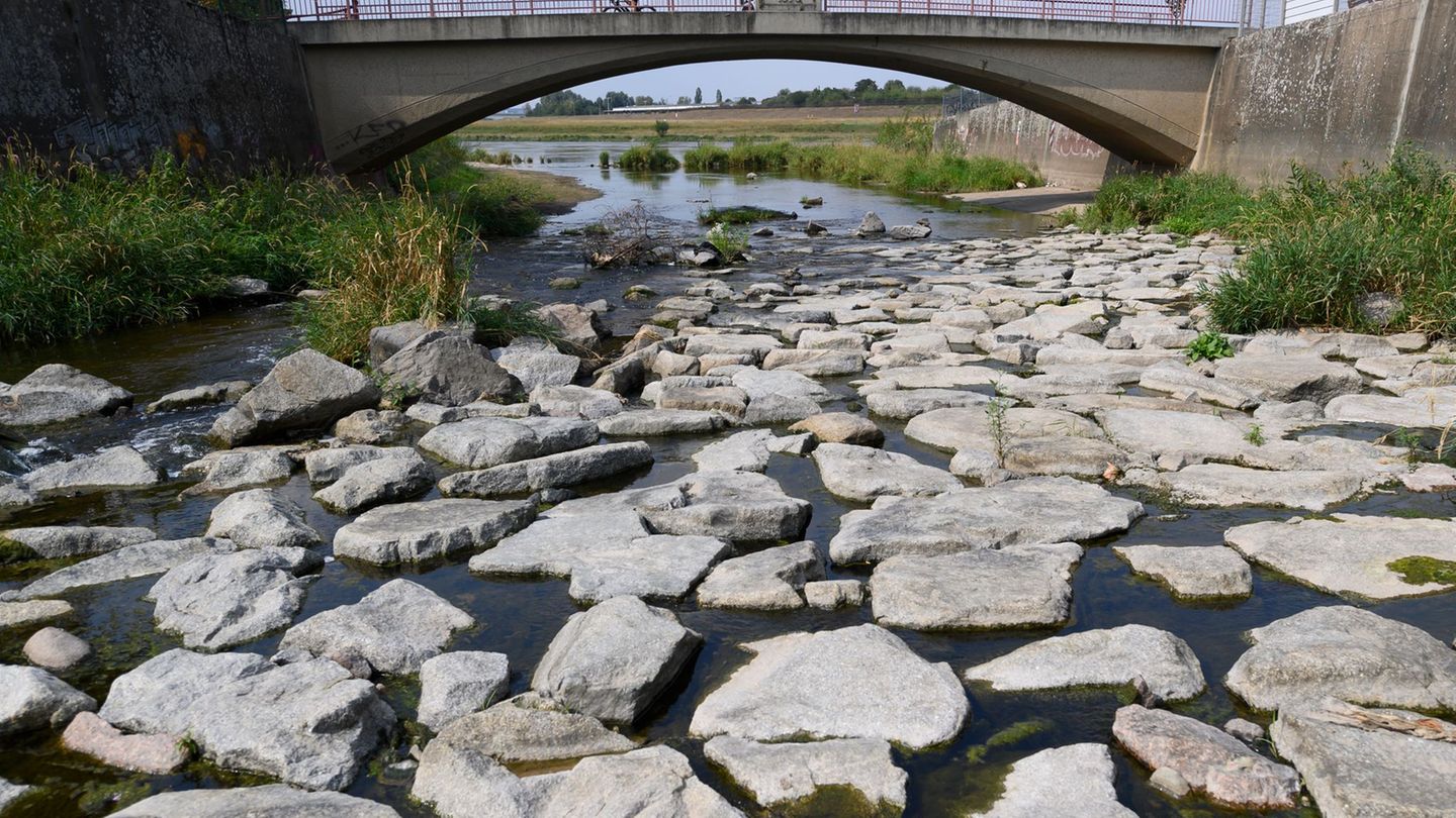 Wetter: Trockenheit: Stadt Dresden verhängt Wasserentnahmeverbot