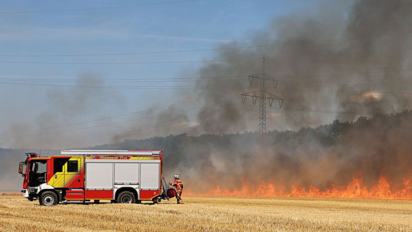 Wegen Hitze und Wind: Großeinsatz der Feuerwehr - Feldbrand sorgt für Rauchsäule