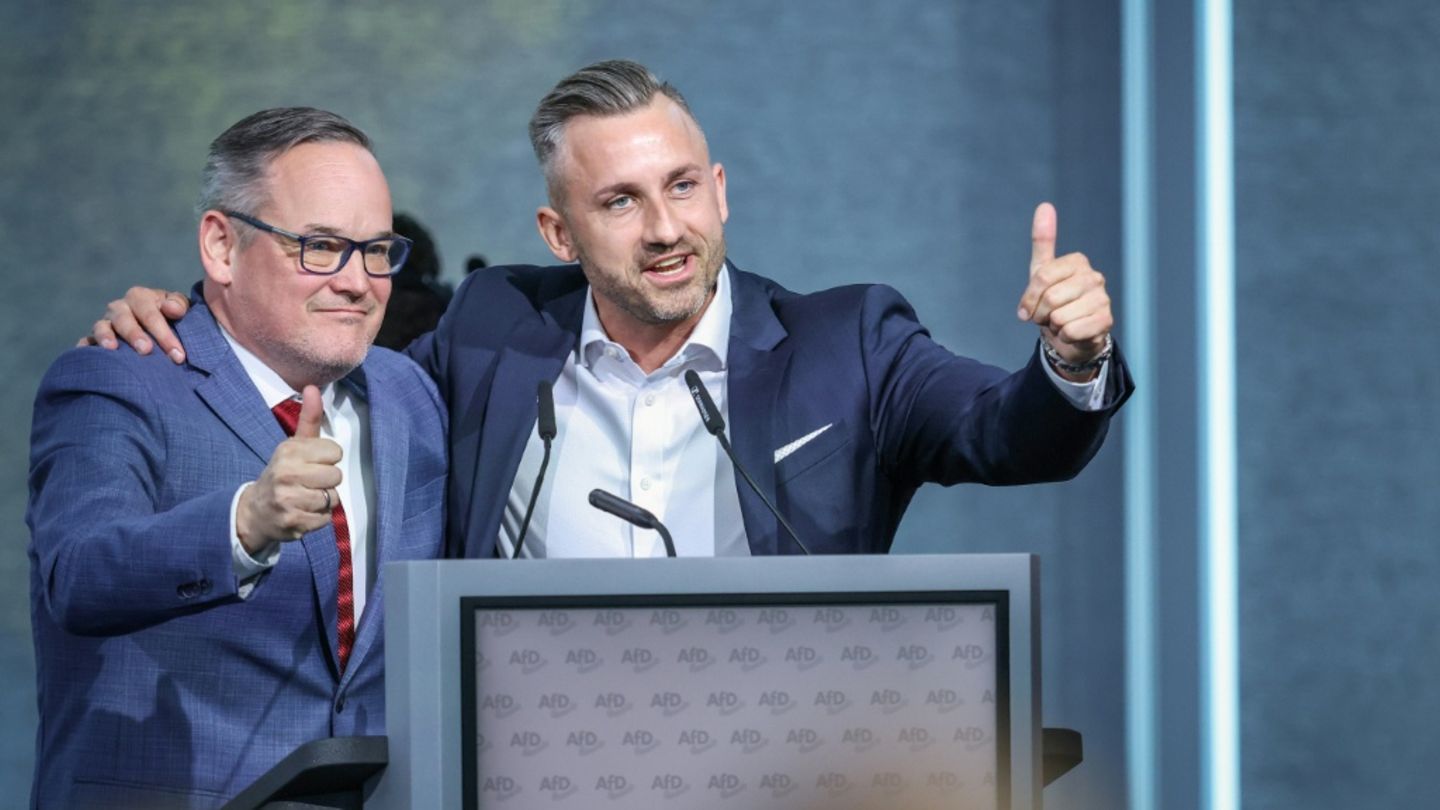 Foto mit erhobenem Arm: Rücktrittsforderungen an Sachsen-Anhalts AfD-Chef Reichardt