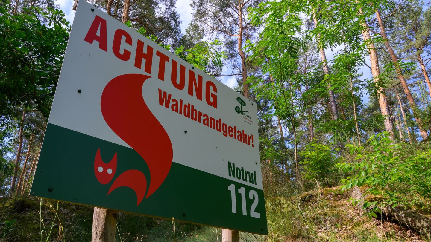 Waldbrände: Wie sich Brandenburg auf hohe Waldbrandgefahr vorbereitet