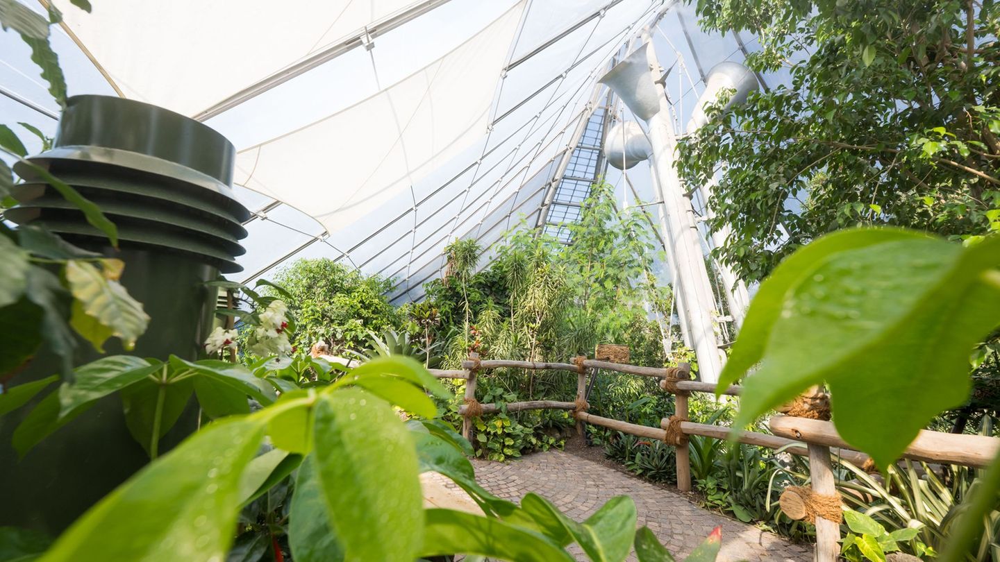 Neue Bewohner: Nach langem Umbau: Neue Dschungelwelt in Münchner Zoo