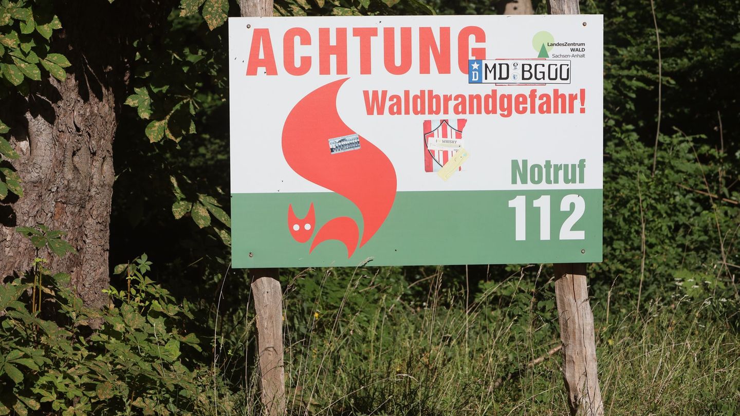 Wetter: Waldbrandgefahr steigt: höchste Warnstufe rund um Wittenberg