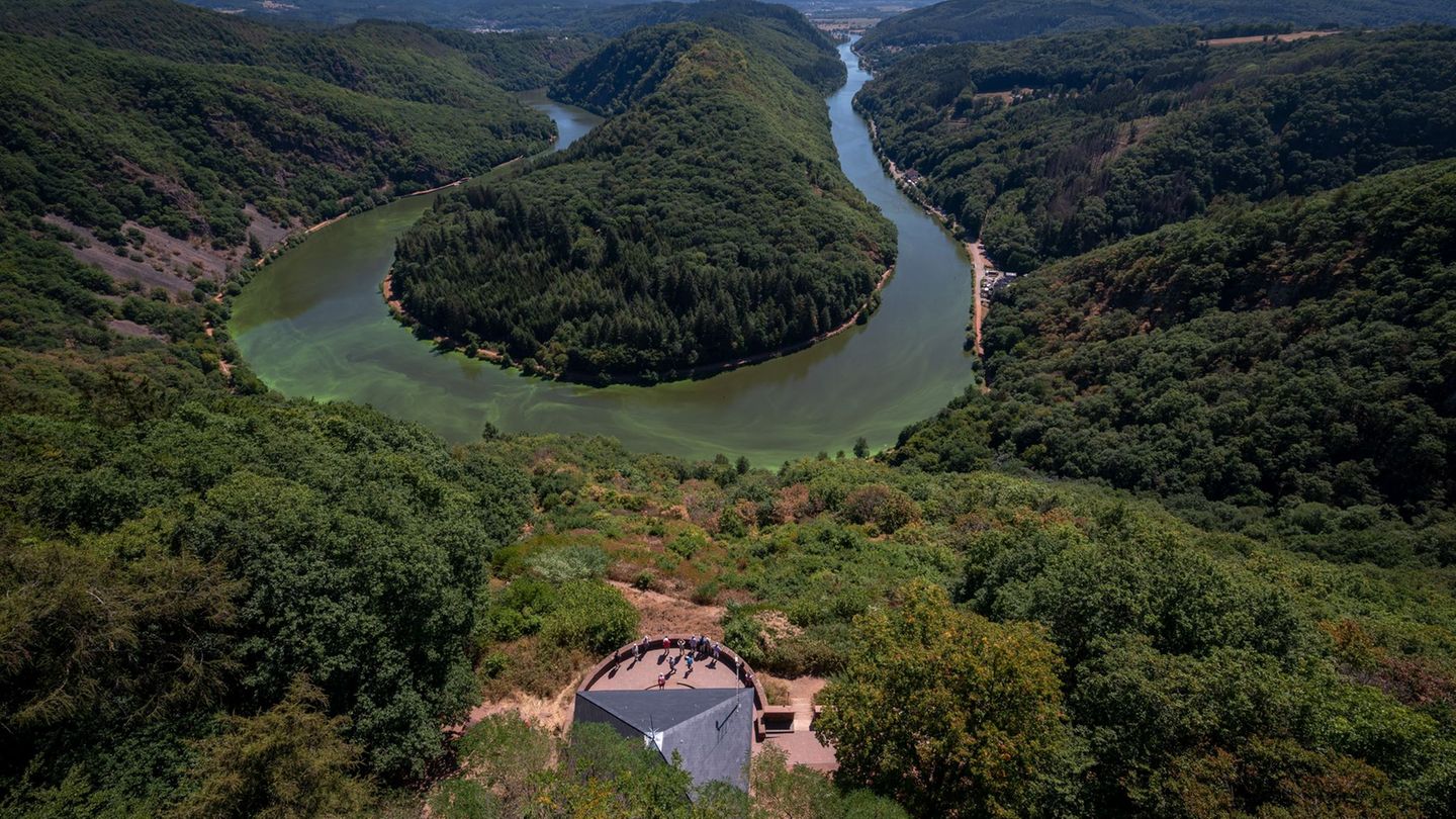 Rekordtemperatur: Juni-Hitzerekord im Saarland: 38,8 Grad in Perl-Nennig