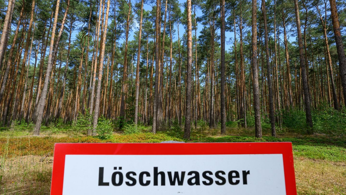 Waldbrände: Waldbrandgefahr in Brandenburg erreicht teils höchste Stufe