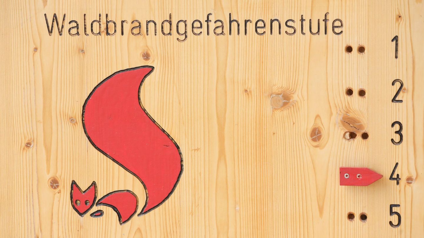 Umwelt: Steigende Waldbrandgefahr - Minister mahnt zur Vorsicht