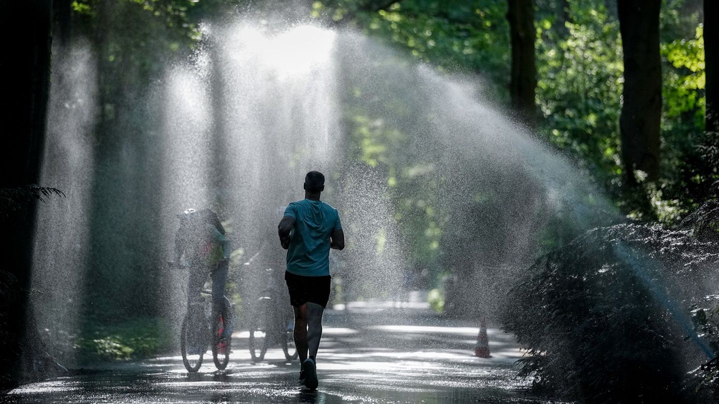 Schwitzen in der Hauptstadt: Bis zu 41 Grad erwartet – Berlin bereitet sich auf Hitze vor