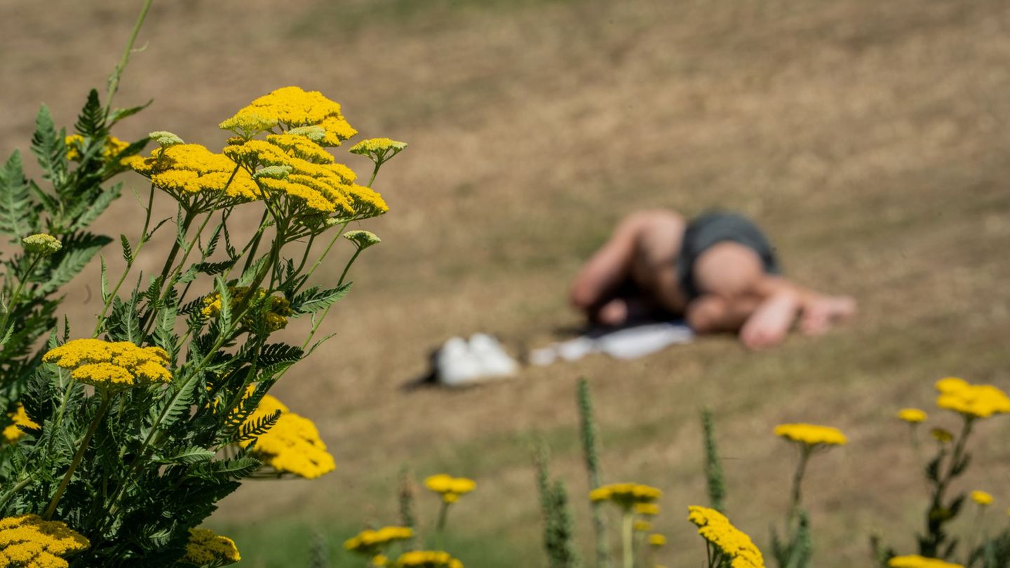 Rekordtemperatur: Hitzerekord für Rheinland-Pfalz: 40,7 Grad