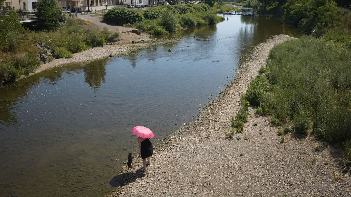 Rekordtemperatur: Wetterdienst: Mit 40,7 Grad Hitzerekord in Rheinland-Pfalz