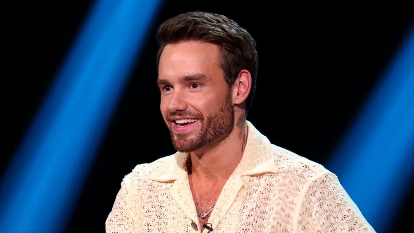„Building the Band“: Keine Fortsetzung für Liam Paynes letzte Show