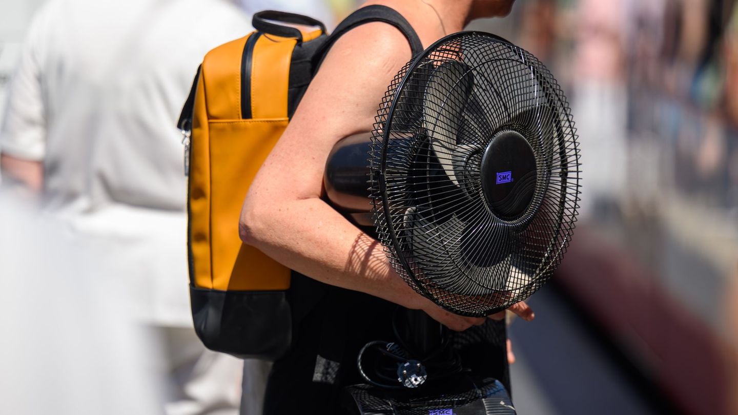 Große Nachfrage nach Geräten: „Brauche dringend zwei Ventilatoren“ - Kühlung ist Trumpf