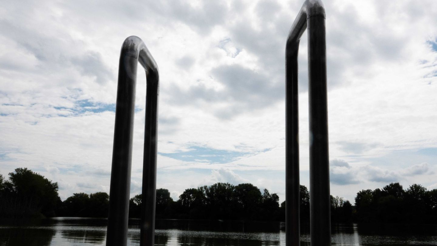 Tiere: Hund drückt Jungen in Badesee unter Wasser