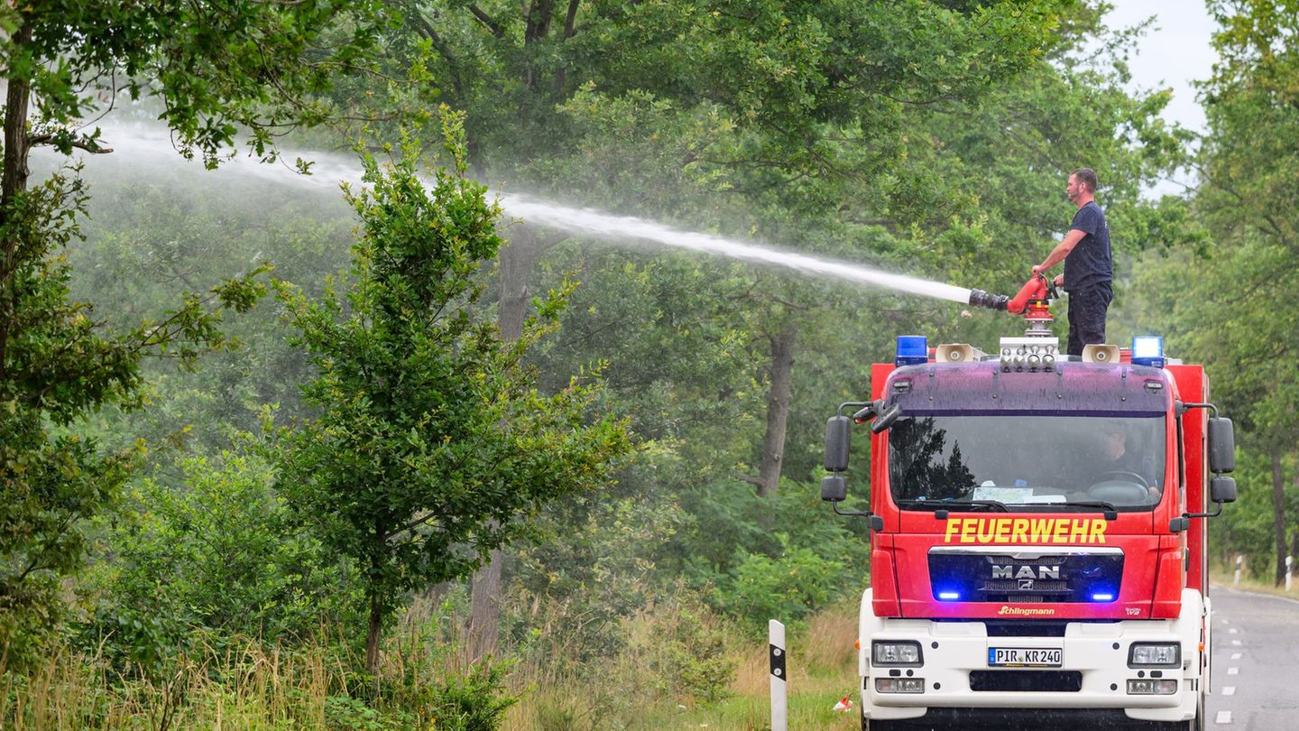 Waldbrand: Erneut Feuer in der Gohrischheide – Lage noch unklar