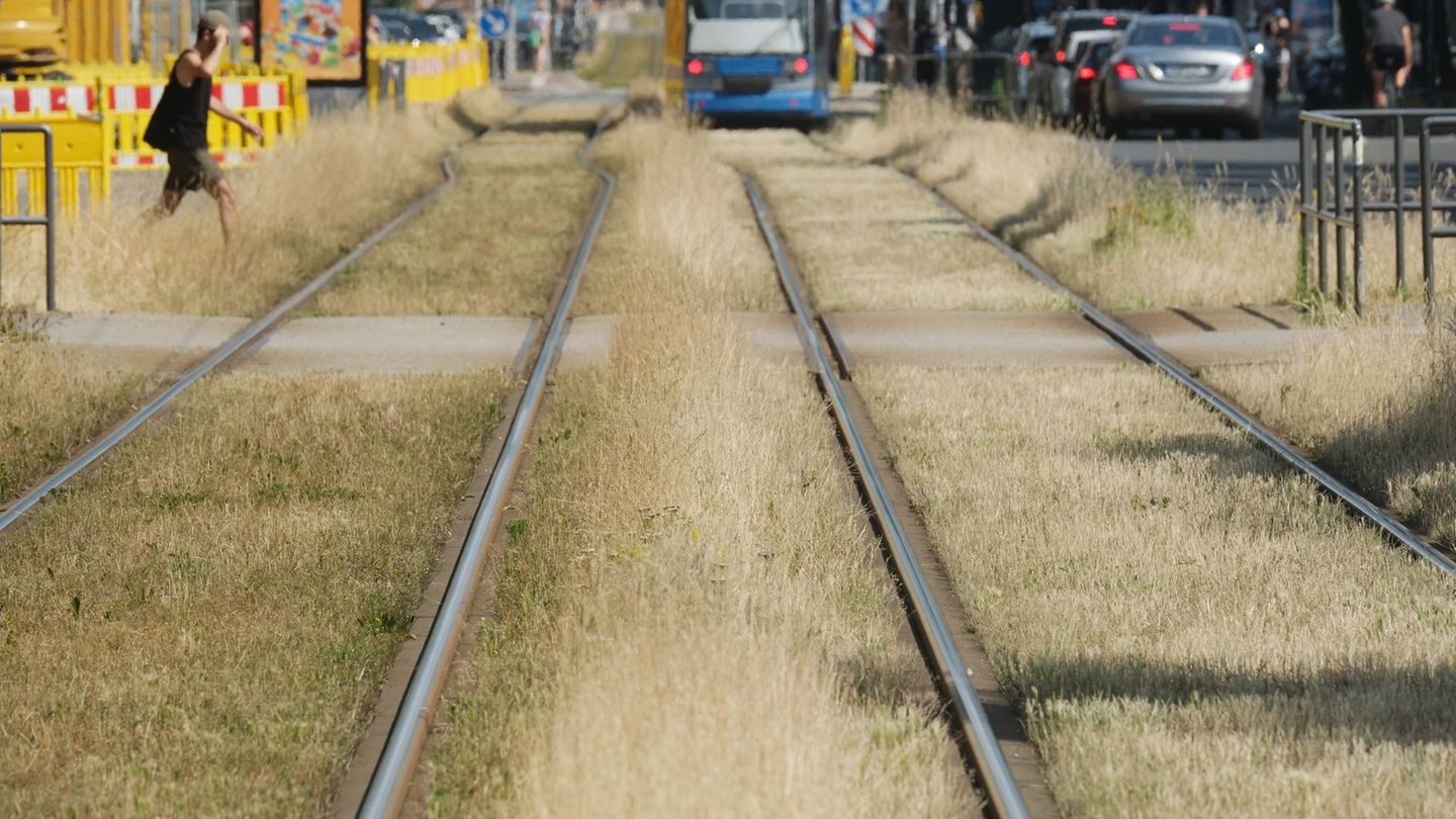 ÖPNV: Hitze legt Leipziger Straßenbahnverkehr lahm