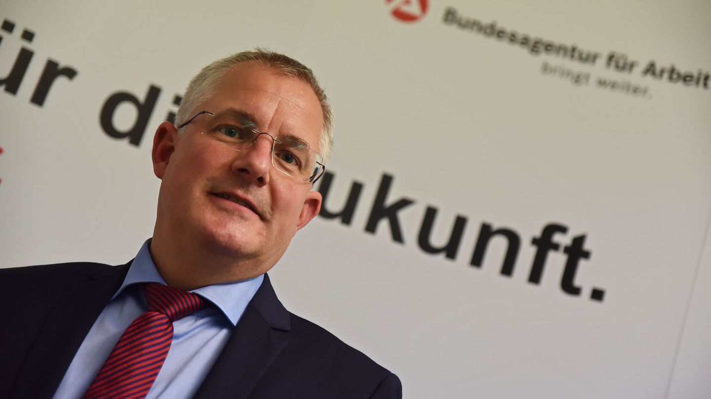 Arbeitsmarkt und KI: Arbeitsagentur: Jobs in der IT-Branche haben Zukunft