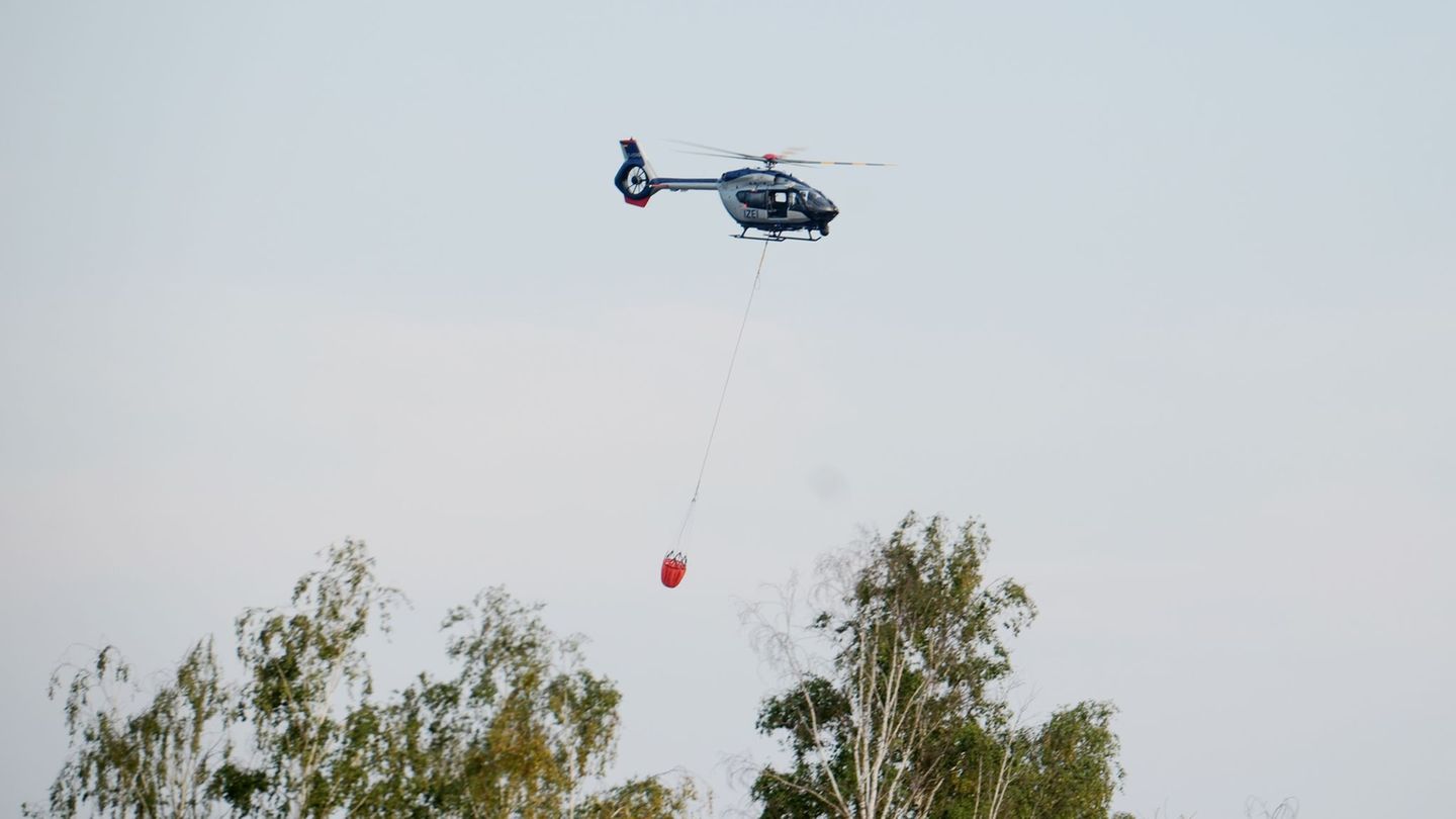 Wind bleibt Risiko: Gohrischheide: Feuerwehr hält Waldbrand-Fläche über Nacht