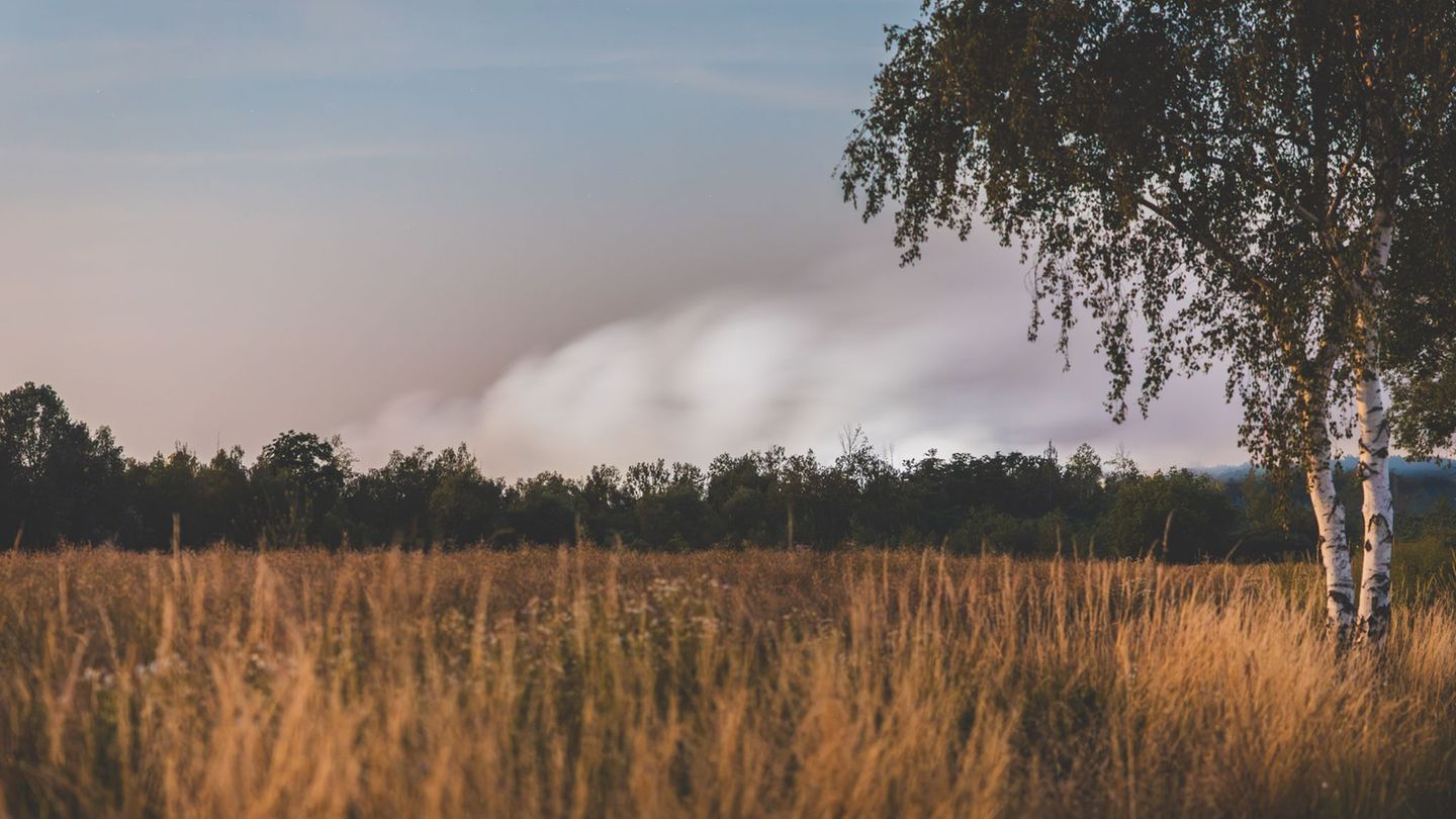 Waldbrand: Starke Rauchentwicklung wegen Waldbrandes an Landesgrenze