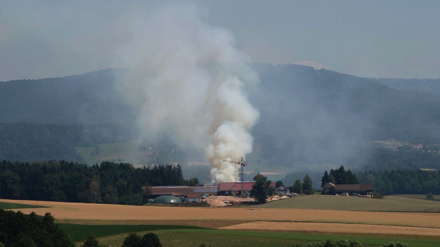 Stallung brennt nieder: Brand auf Bauernhof verursacht sechsstelligen Schaden