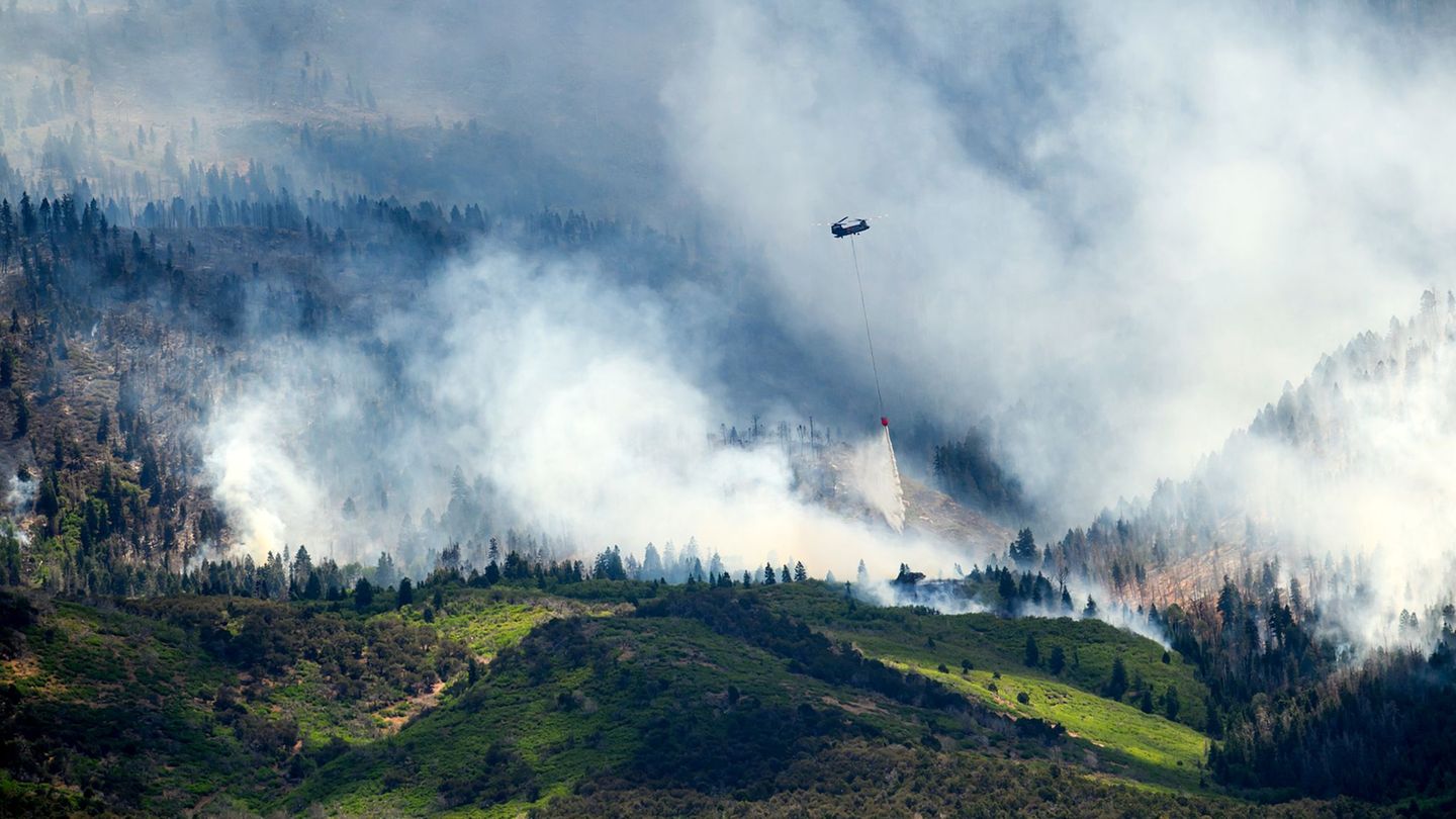 Tödliche Brände: Drei US-Feuerwehrleute beim Löschen von Waldbränden getötet