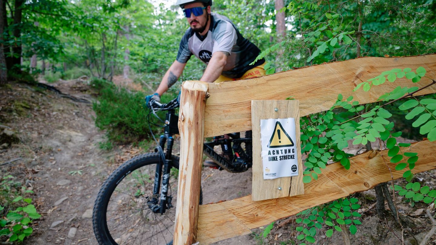 Freizeitsport: Mountainbiken im Wald: legale Trails für weniger Konflikte?