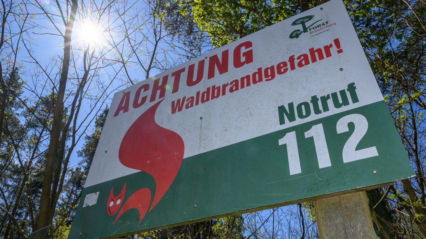 Wetter: Waldbrandgefahr in Brandenburg gesunken