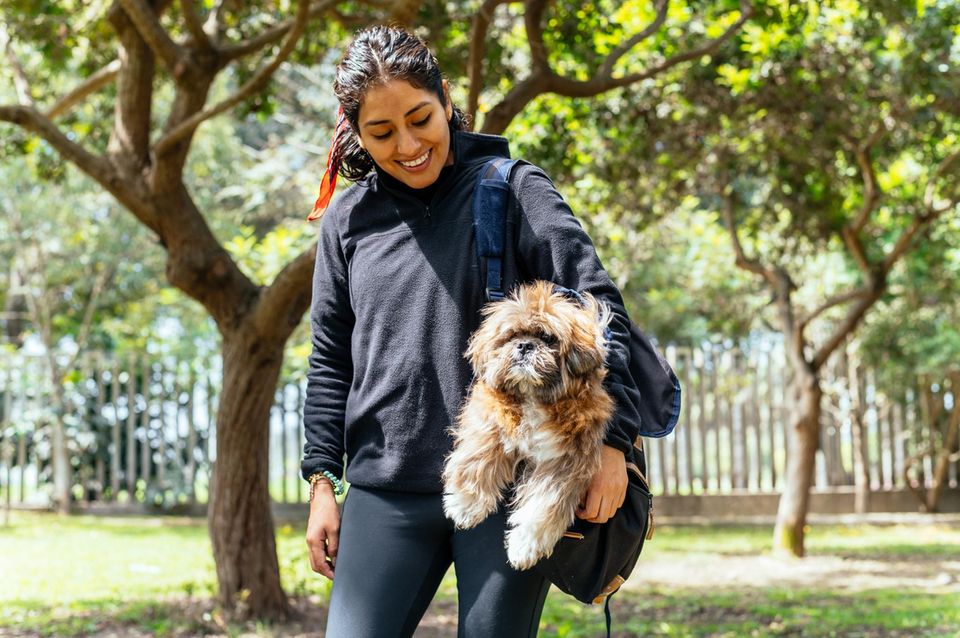 Hundehaltung weltweit Eine Frau trägt ihren Hund in einer Tasche durch den Park