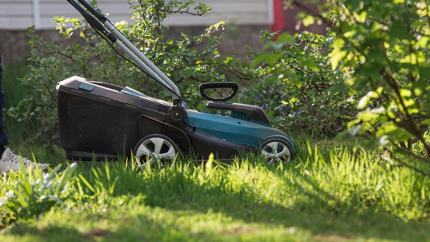 Garten-Deal: Bosch Akku-Rasenmäher heute 51 Prozent günstiger