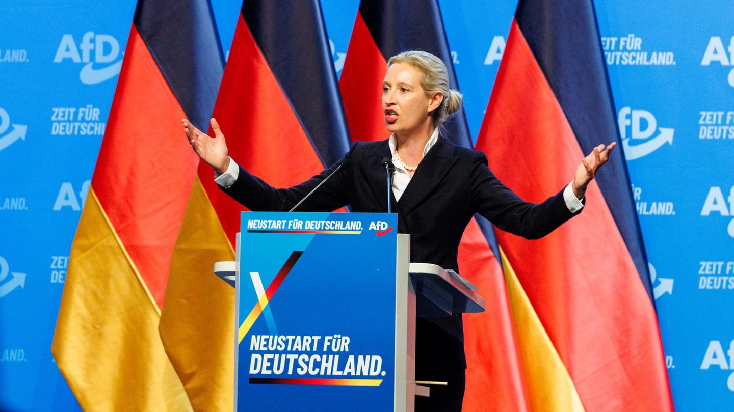 AfD National Party Convention – Alice Weidel Launches a Sharp Attack on ...