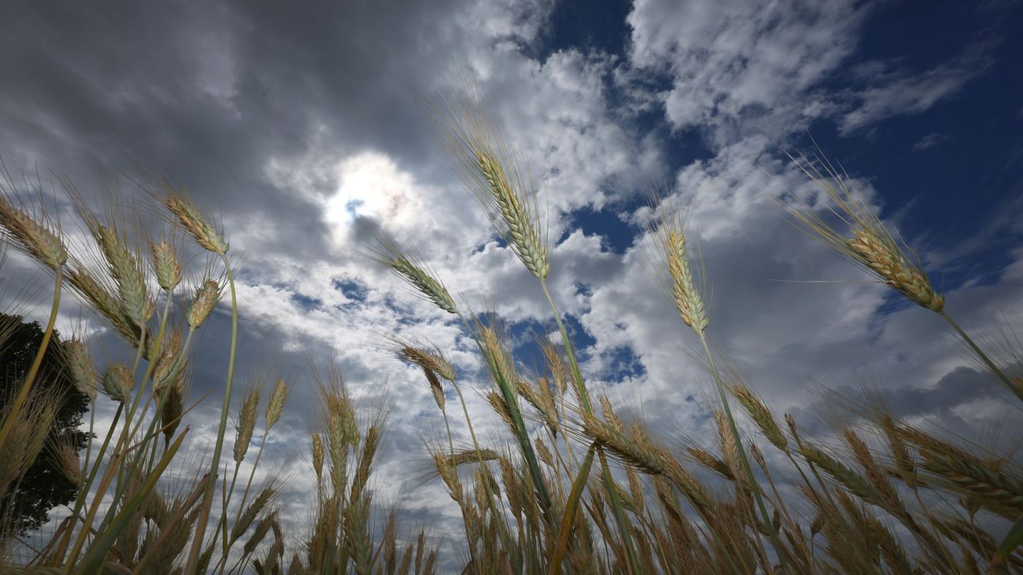Wettervorhersage: Kaltfront vor der Hitze