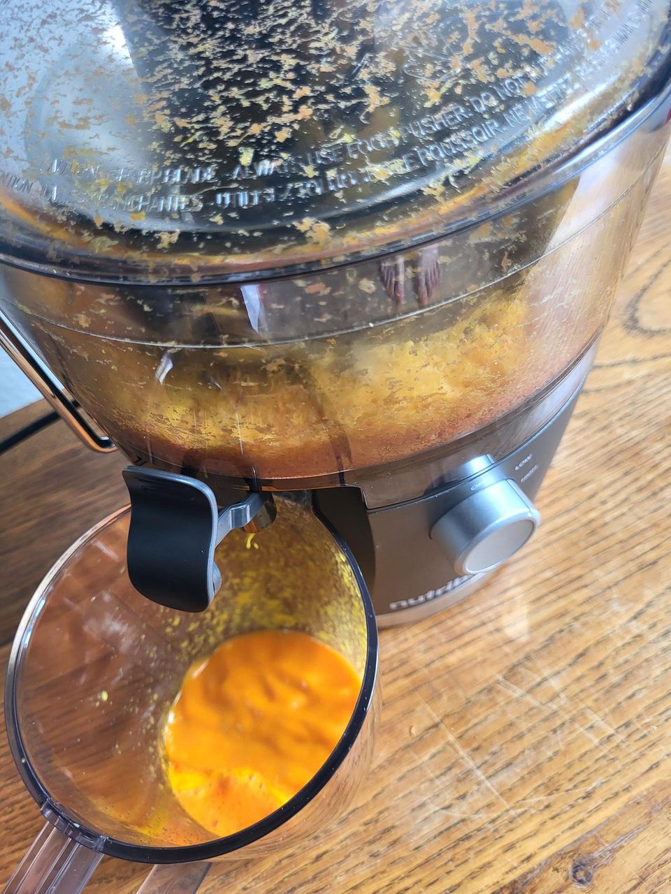 entsafter test nutribullet