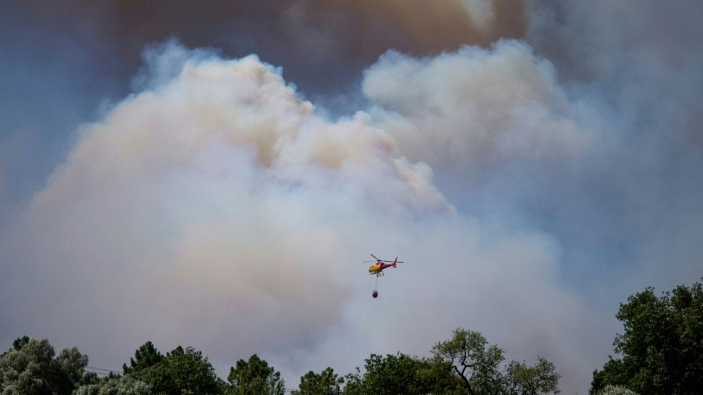 Waldbrand in Spanien: Mindestens elf Tote und 19 Vermisste