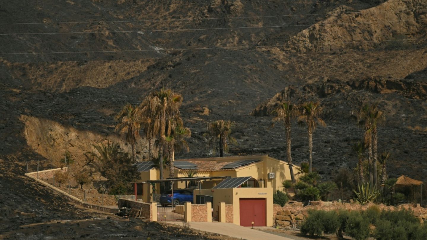 Fortschritte im Kampf gegen tödlichen Waldbrand in Andalusien