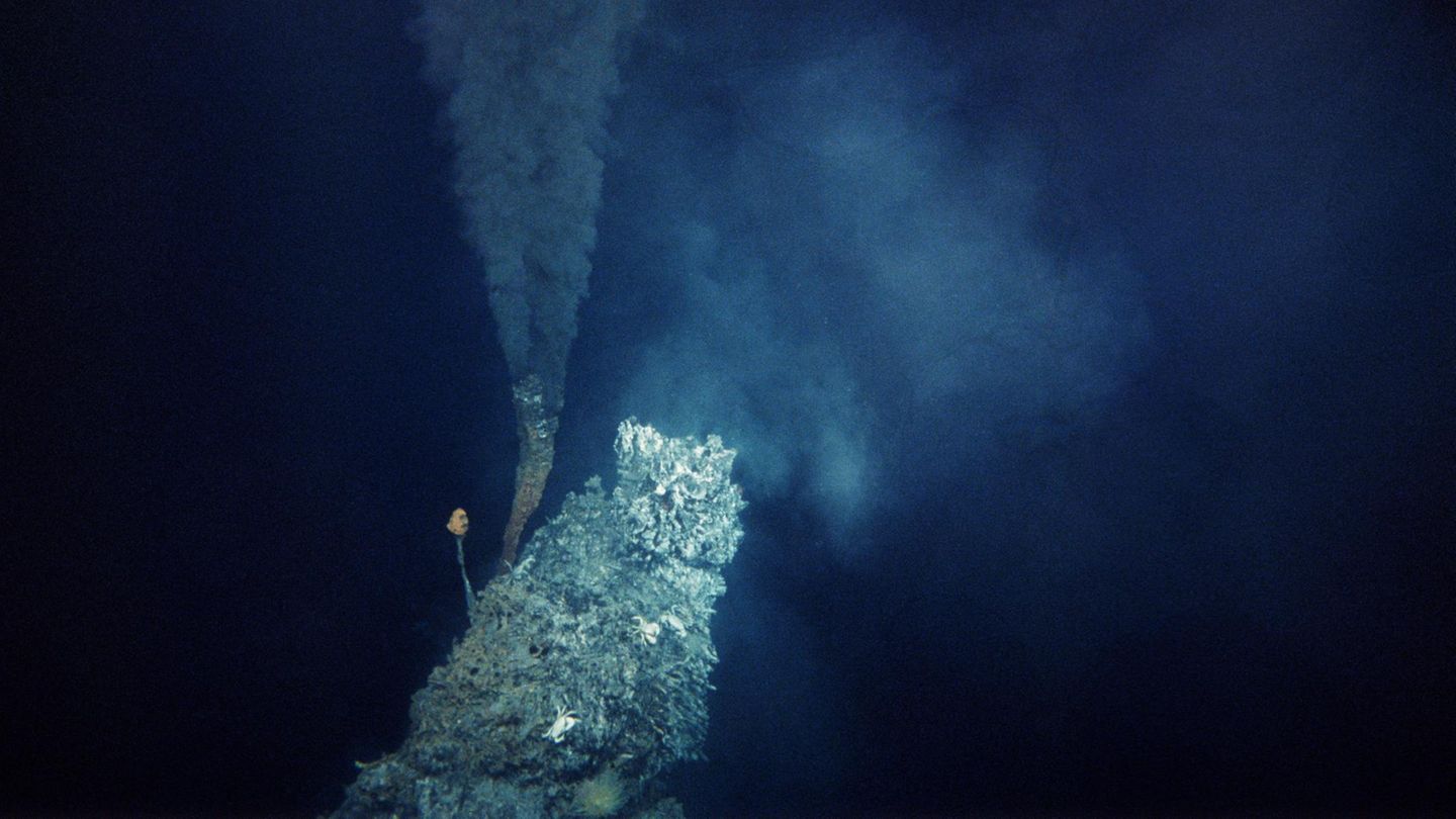 Geologie: Wissenschaftler beobachten erstmals, wie neuer Meeresgrund entsteht