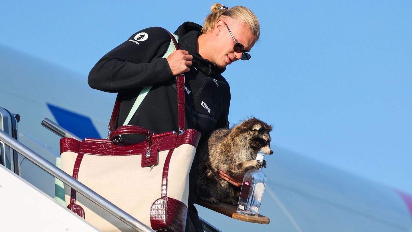 Erling Haaland: Audience with a raccoon and a crown prince on the drum