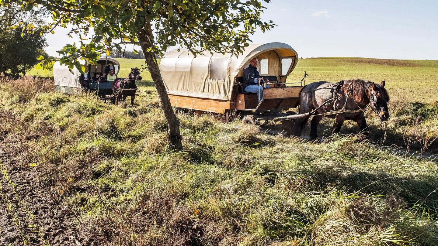 Holidays in Germany: the best ideas for the summer