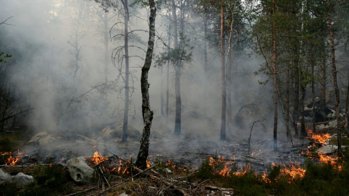 Waldbrand südlich von Paris wütet weiter: Gut 2000 Hektar abgebrannt