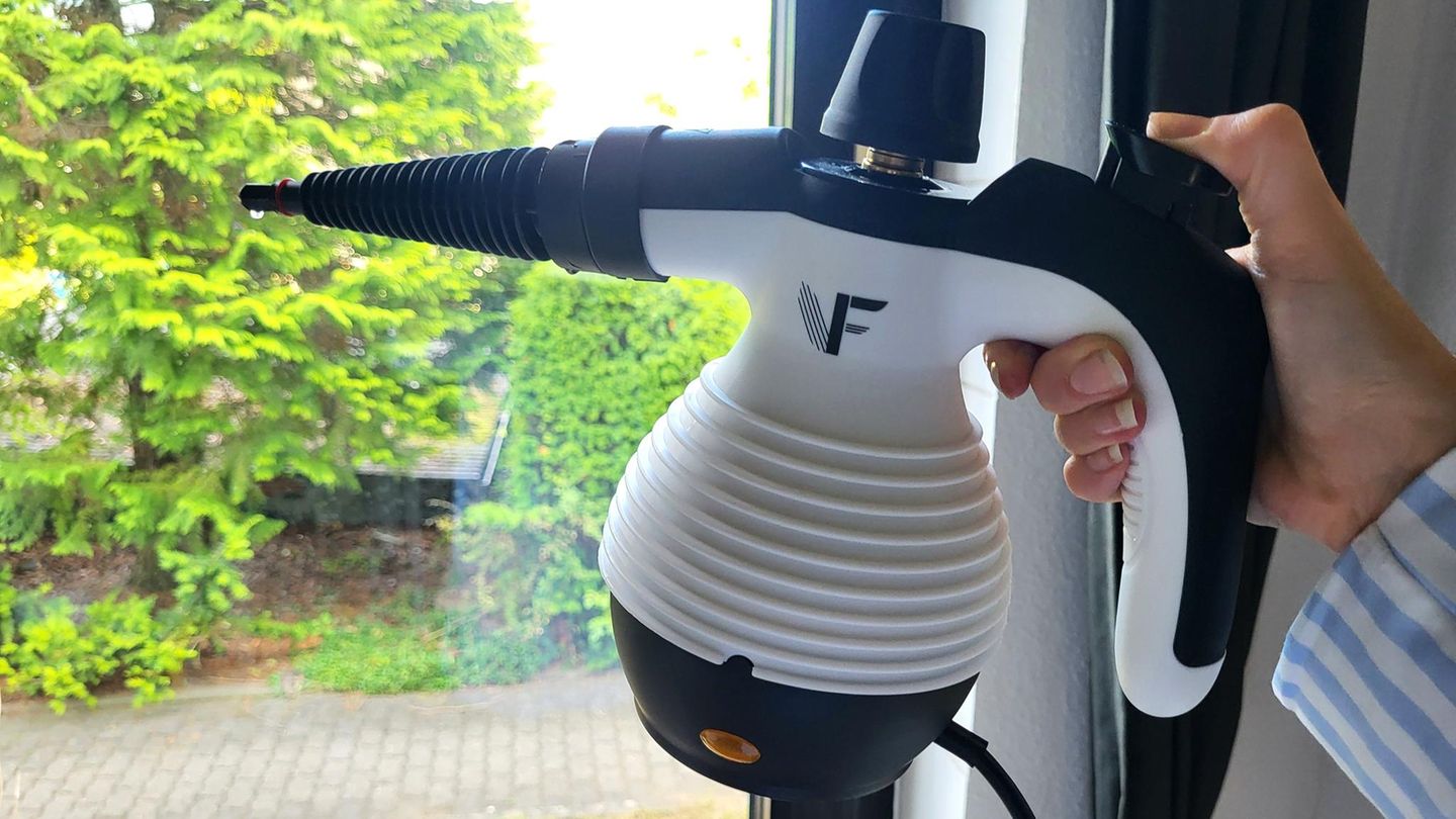 handdampfreiniger test