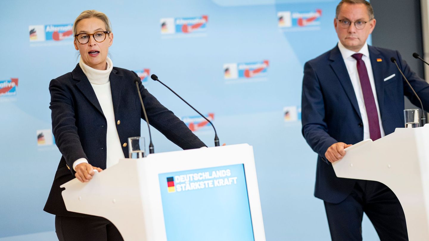 Parteien: AfD-Chefs fordern Neuwahl der NRW-Kandidatenliste