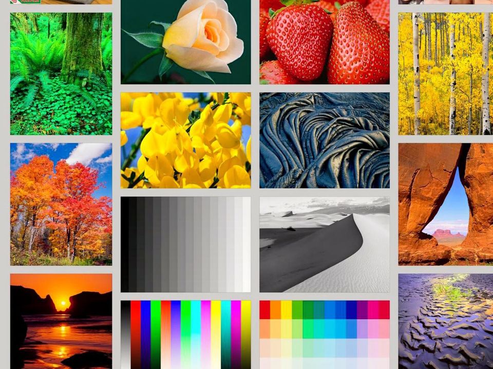Fotodrucker Test: Testdruck