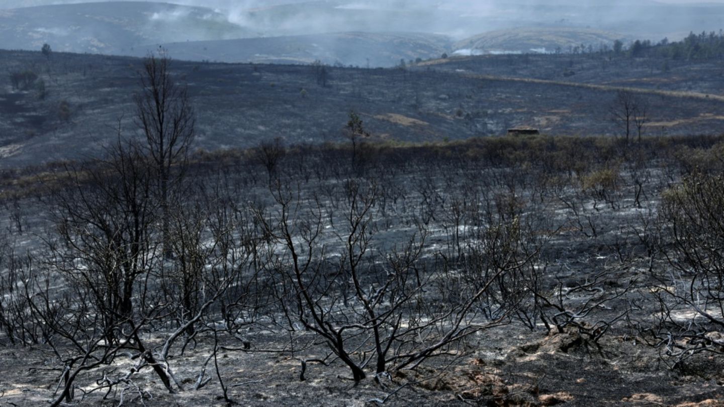Nach Evakuierung wegen Waldbrandes bei Madrid: Bewohner können zurück nach Hause