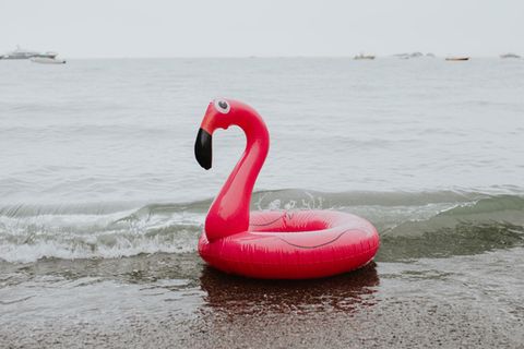 ein GummiFlamingo im grauen Wasser