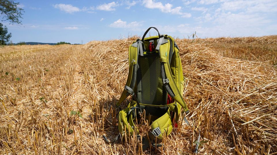 Wanderrucksack Test: Vaude Wizard 24+4