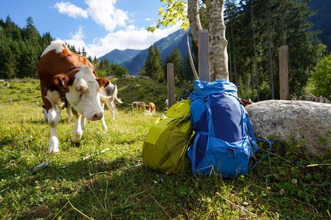 Wanderrucksack Test: Sechs Produkte im Vergleich