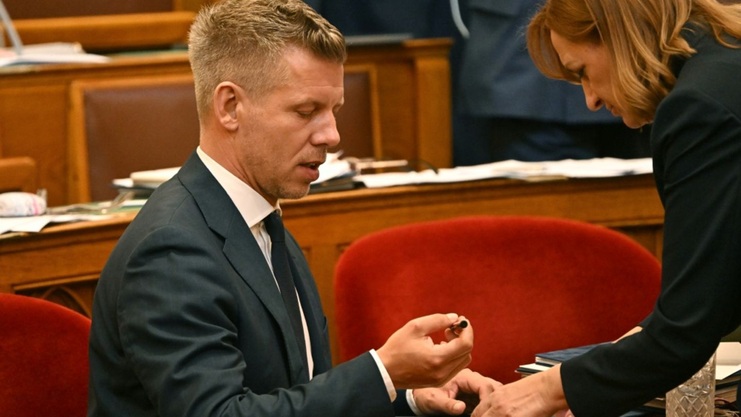 Magyar-Partei wählt erstmals Verfassungsrichter - Amnesty: Verfahren „wie unter Orban“