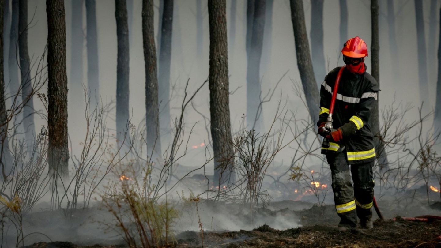 Behörden: Waldbrandsituation im Südwesten Frankreichs „stabil“